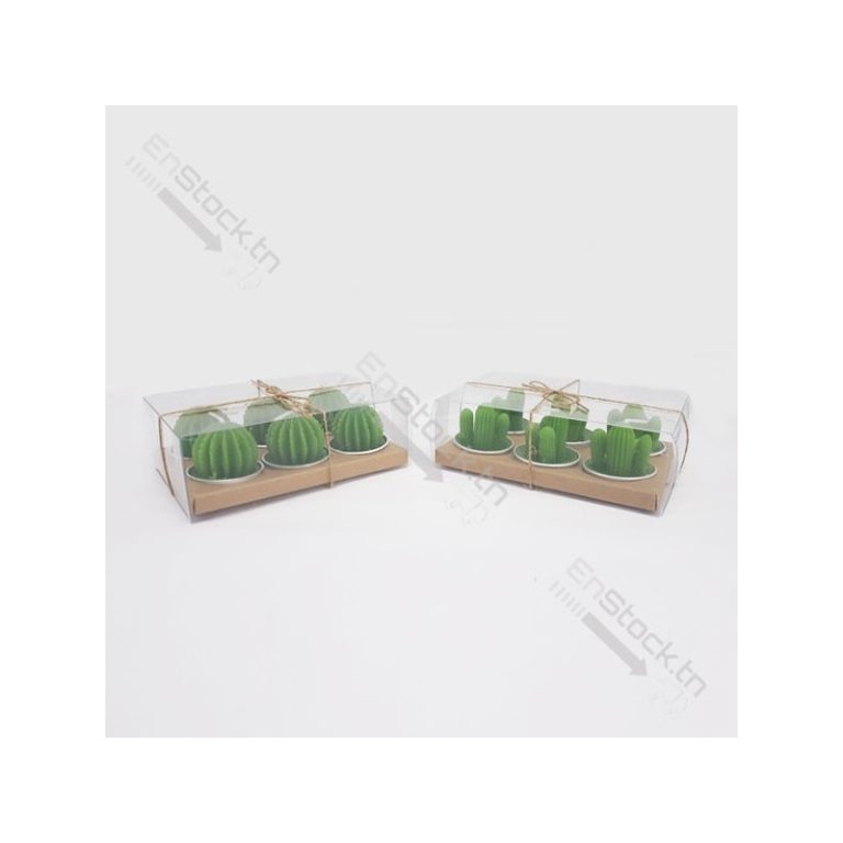 Lot de deux packs bougies cactus – Image 3