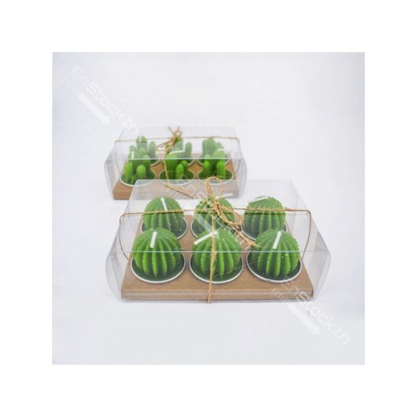 Lot de deux packs bougies cactus
