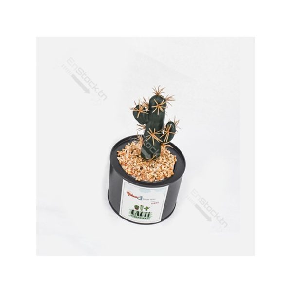 Cactus Plante artificielle