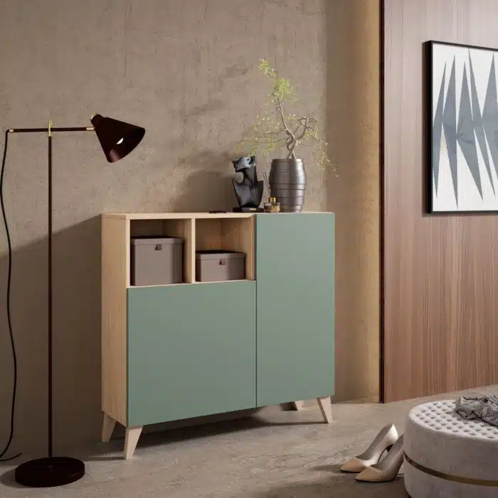 Armoire à chaussures moderne 2 portes vertes – meuble entrée élégant